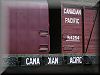 Canadian Pacific Trains, locomotives freight lumber passenger coaches and wagons